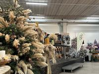 Foto z Vánočního semináře 2024 