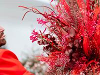 Foto z Vánočního semináře 2024 