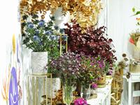 Foto ze Smutečního a dušičkového semináře 2025