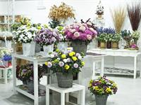 Foto ze Smutečního a dušičkového semináře 2025