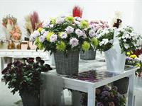 Foto ze Smutečního a dušičkového semináře 2025