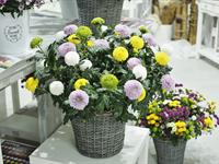 Foto ze Smutečního a dušičkového semináře 2025