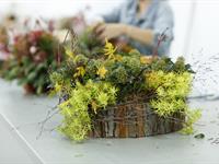 Foto ze Smutečního a dušičkového semináře 2025