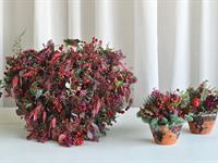 Foto ze Smutečního a dušičkového semináře 2025