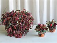 Foto ze Smutečního a dušičkového semináře 2025