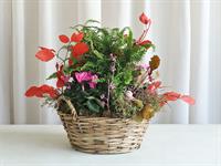 Foto ze Smutečního a dušičkového semináře 2025