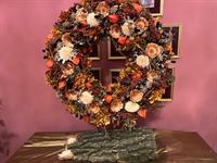 Brněnská růže 2024