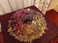 Brněnská růže 2024