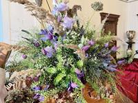 Brněnská růže 2024