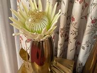 Brněnská růže 2025 