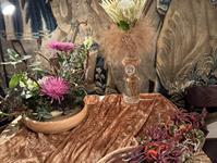 Brněnská růže 2025 