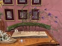 Brněnská růže 2025 