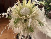 Brněnská růže 2025 