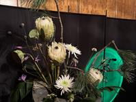 Brněnská růže 2025 