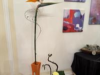 Brněnská růže 2025 