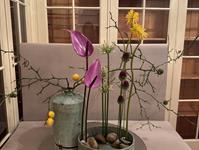 Brněnská růže 2025 