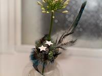 Brněnská růže 2025 