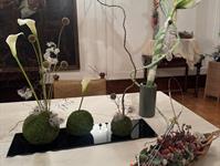 Brněnská růže 2025 