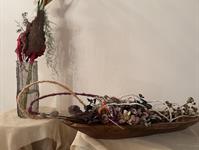 Brněnská růže 2025 