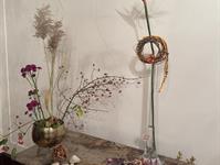 Brněnská růže 2025 