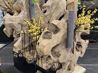 Foto z Vánočního semináře 2025  