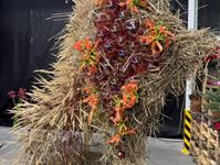 Foto z Vánočního semináře 2025  