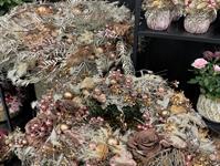 Foto z Vánočního semináře 2025  