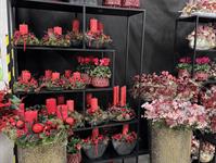 Foto z Vánočního semináře 2025  