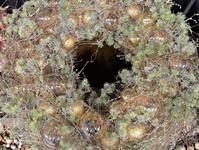 Foto z Vánočního semináře 2025  