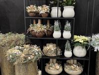 Foto z Vánočního semináře 2025  