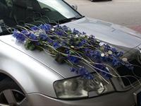 Fotogalerie Svatby v létě – inspirativní seminář