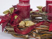 Brněnská růže 2014 – Fotogalerie soutěžní práce