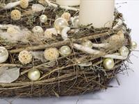 Brněnská růže 2014 – Fotogalerie soutěžní práce