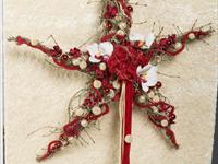Brněnská růže 2014 – Fotogalerie soutěžní práce
