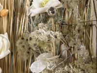 Brněnská růže 2014 – Fotogalerie soutěžní práce