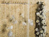 Brněnská růže 2014 – Fotogalerie soutěžní práce