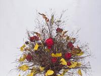 Brněnská růže 2014 – Fotogalerie soutěžní práce