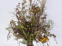 Brněnská růže 2014 – Fotogalerie soutěžní práce