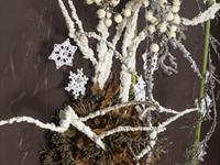 Brněnská růže 2014 – Fotogalerie soutěžní práce
