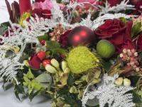 Brněnská růže 2014 – Fotogalerie soutěžní práce