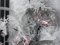 Brněnská růže 2014 – Fotogalerie soutěžní práce