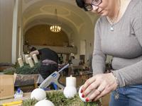 Brněnská růže 2014 - Fotogalerie z průběhu soutěže