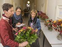 Brněnská růže 2014 - Fotogalerie z průběhu soutěže