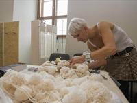 Brněnská růže 2014 - Fotogalerie z průběhu soutěže