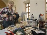 Brněnská růže 2014 - Fotogalerie z průběhu soutěže