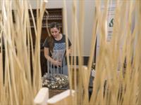 Brněnská růže 2014 - Fotogalerie z průběhu soutěže
