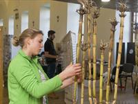 Brněnská růže 2014 - Fotogalerie z průběhu soutěže
