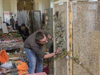 Brněnská růže 2014 - Fotogalerie z průběhu soutěže