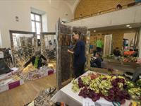 Brněnská růže 2014 - Fotogalerie z průběhu soutěže