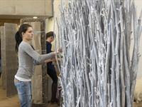 Brněnská růže 2014 - Fotogalerie z průběhu soutěže